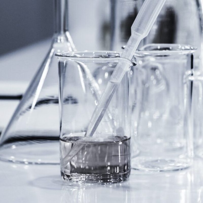 hans-reniers-lQGJCMY5qcM-unsplash